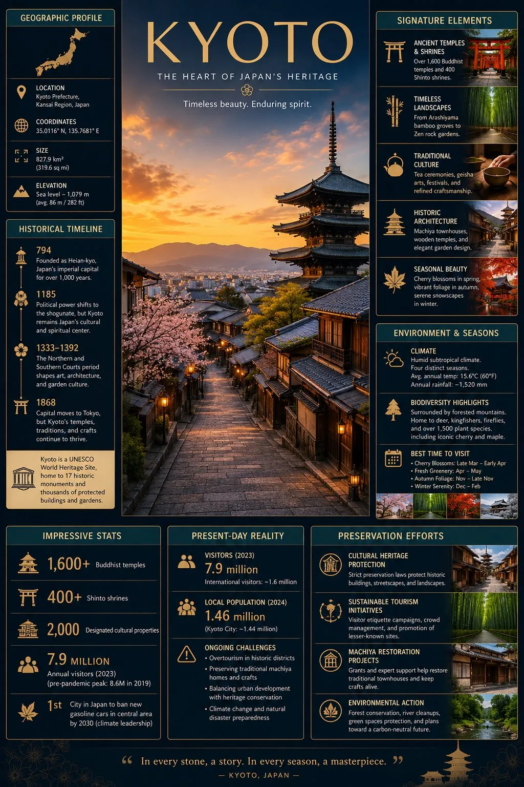 Travel destination infographic poster
